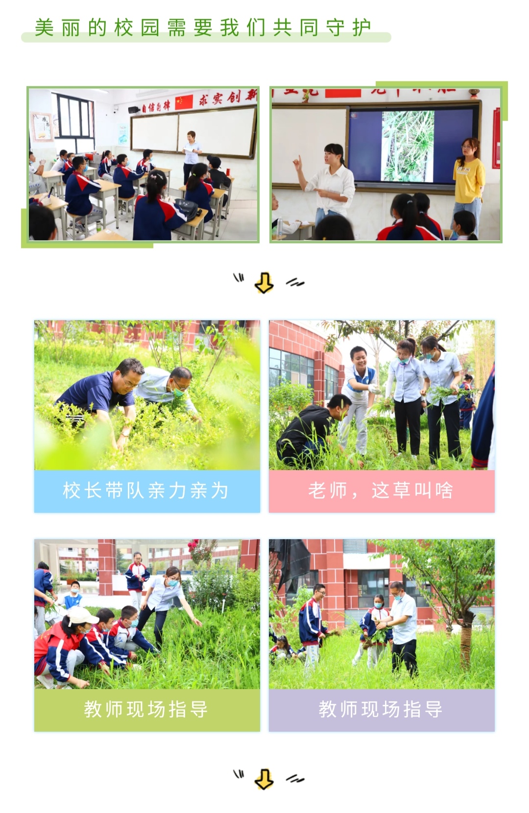 微信图片_20200706082452.jpg