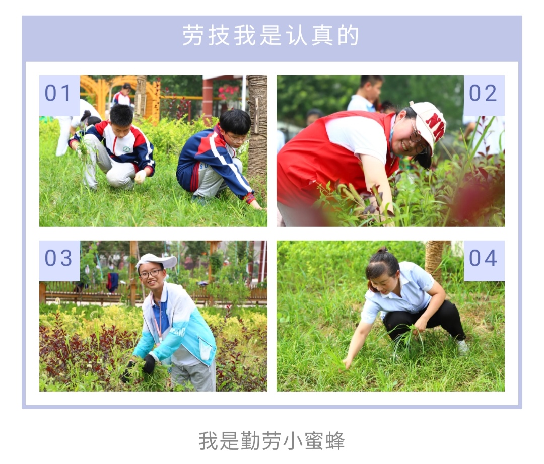 微信图片_20200706082501.jpg
