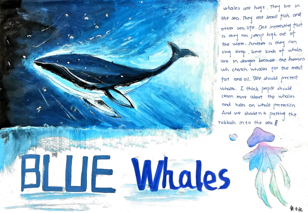 1769138866306795.png 微信图片_20260123112702_50_7.png