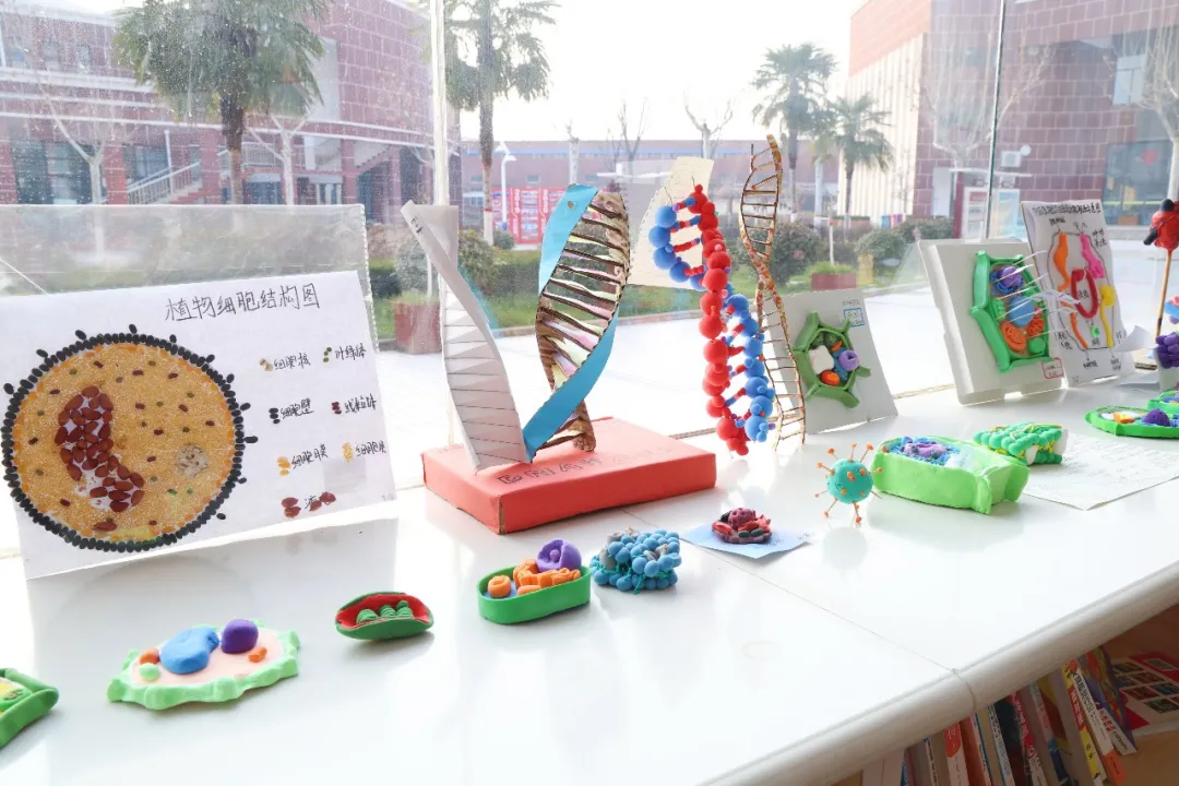 1769152159491404.png 微信图片_20260123150740_116_7.png