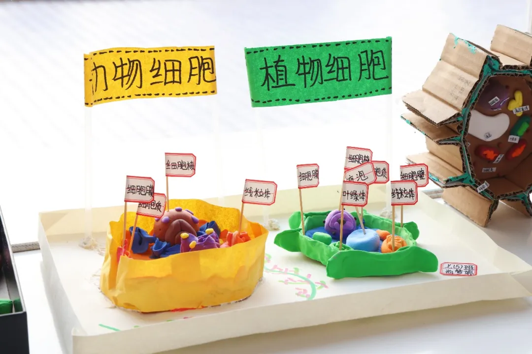 1769152174187383.png 微信图片_20260123150820_119_7.png