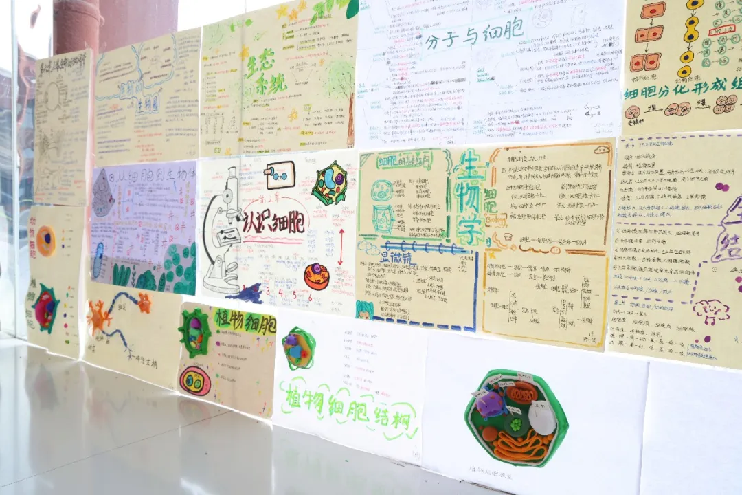 1769152181967595.png 微信图片_20260123150837_121_7.png