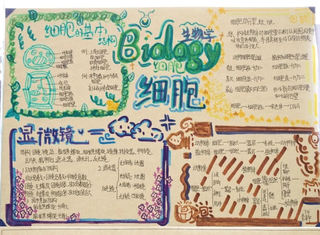 1769152188207852.png 微信图片_20260123150826_120_7.png