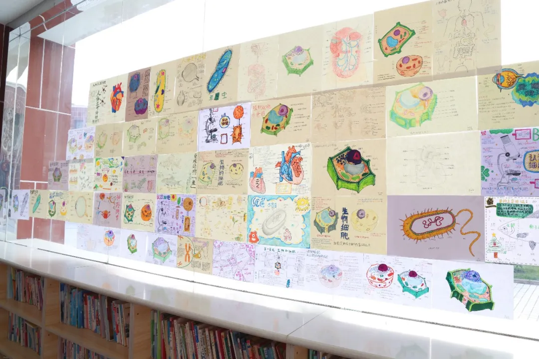 1769152198256342.png 微信图片_20260123150841_122_7.png