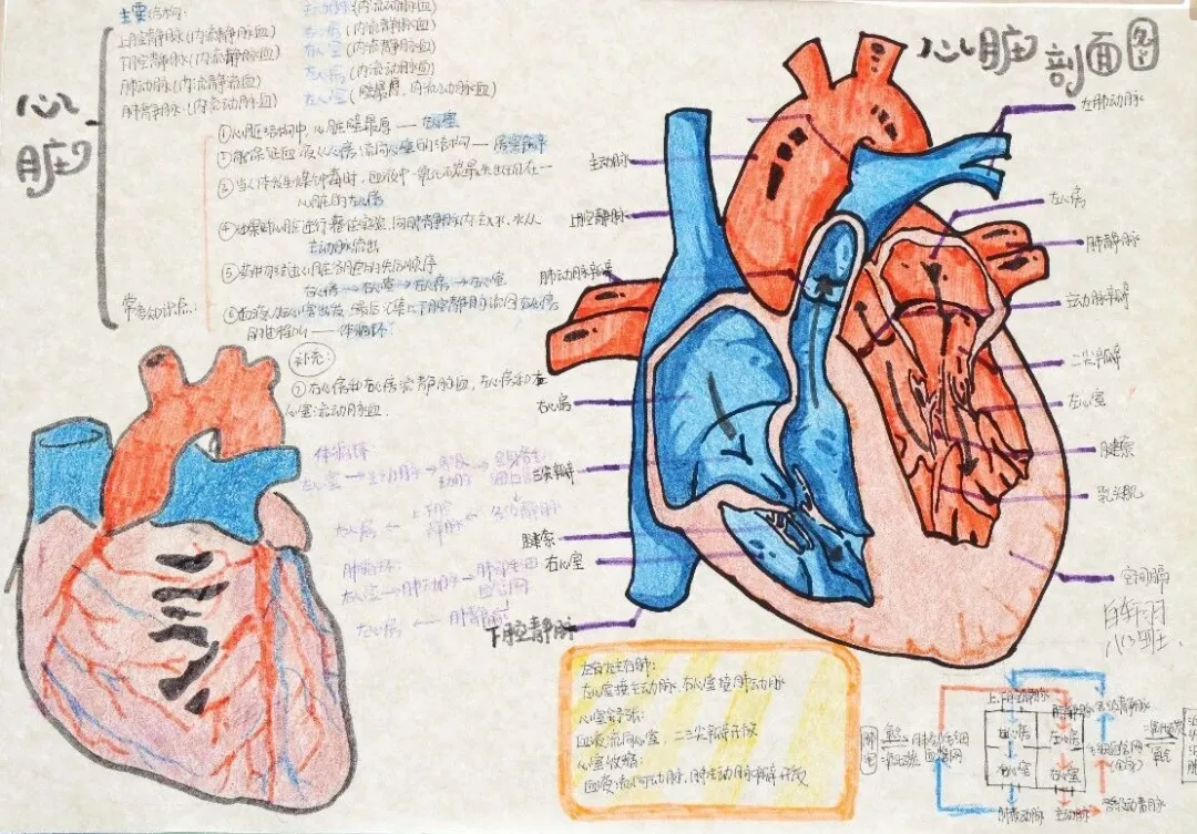 1769152205599804.png 微信图片_20260123150847_123_7.png