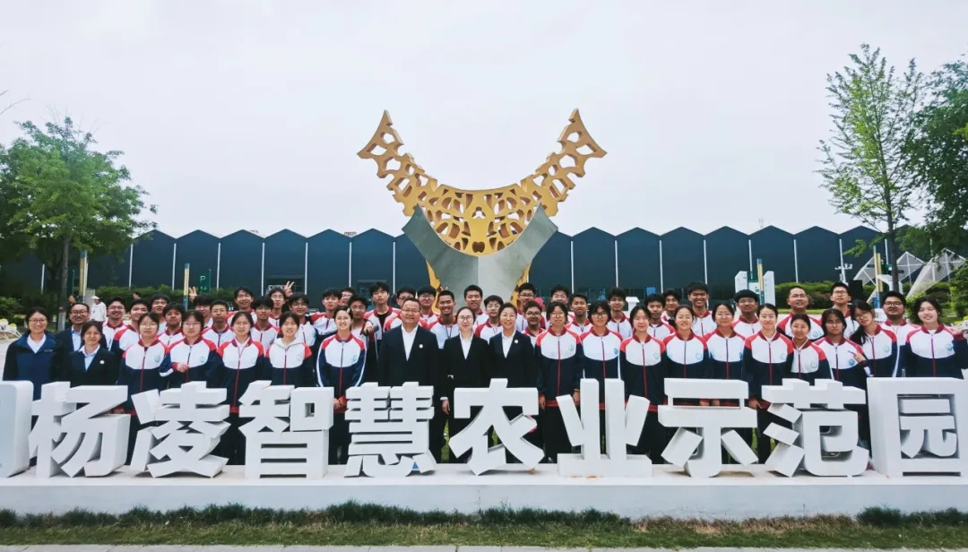 微信图片_20260626115623_56_7.png